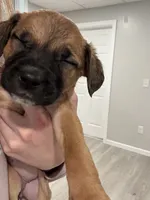 processed/6f4ca5f2-83ba-4d73-b47e-331c3269152d/listing/c85b2ea5-4ba8-4dca-8990-cf67b27a4c4f/81b3d99f-2fb5-4350-ae00-912b9e102fb6