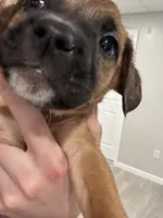 processed/6f4ca5f2-83ba-4d73-b47e-331c3269152d/listing/c85b2ea5-4ba8-4dca-8990-cf67b27a4c4f/845e69dd-c632-4bf0-9866-85cf63a9c374