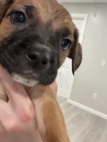 processed/6f4ca5f2-83ba-4d73-b47e-331c3269152d/listing/c85b2ea5-4ba8-4dca-8990-cf67b27a4c4f/e5c1713c-62ec-4f22-b759-deaf180f150c