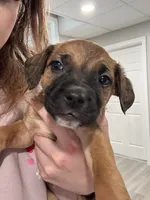 processed/6f4ca5f2-83ba-4d73-b47e-331c3269152d/listing/c85b2ea5-4ba8-4dca-8990-cf67b27a4c4f/e92ac63b-f8dd-4753-b9ec-c0d6db566289