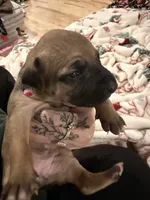 processed/6f4ca5f2-83ba-4d73-b47e-331c3269152d/listing/c85b2ea5-4ba8-4dca-8990-cf67b27a4c4f/f459b881-e0a9-42d3-874f-8f7d6f4a7fcb