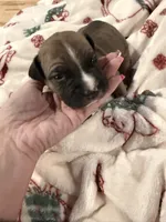 processed/6f4ca5f2-83ba-4d73-b47e-331c3269152d/listing/de170558-06bb-4cf2-a3d0-7b2713326509/46f26177-fd24-45a2-9465-83a57f70d82a