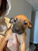 processed/6f4ca5f2-83ba-4d73-b47e-331c3269152d/listing/f84b34eb-98d7-4dd9-b8dc-a9fdd7a7f87e/071959ba-1ade-4a60-8545-0083f9ab33b2