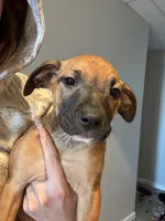 processed/6f4ca5f2-83ba-4d73-b47e-331c3269152d/listing/f84b34eb-98d7-4dd9-b8dc-a9fdd7a7f87e/0a24d357-8f62-4a3d-97e1-03fc094a840f