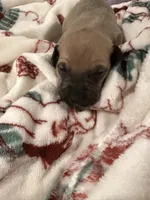 processed/6f4ca5f2-83ba-4d73-b47e-331c3269152d/listing/f84b34eb-98d7-4dd9-b8dc-a9fdd7a7f87e/2c8093fe-7865-4cbb-a9d6-67fac41fe3b0