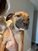 processed/6f4ca5f2-83ba-4d73-b47e-331c3269152d/listing/f84b34eb-98d7-4dd9-b8dc-a9fdd7a7f87e/5905b555-1039-4e6d-9818-2da0d06561a1