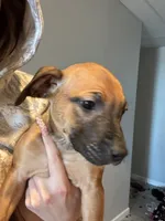 processed/6f4ca5f2-83ba-4d73-b47e-331c3269152d/listing/f84b34eb-98d7-4dd9-b8dc-a9fdd7a7f87e/89acd526-321c-4bed-82ae-bb88ea496d90