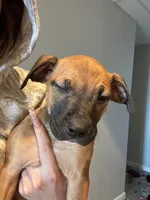 processed/6f4ca5f2-83ba-4d73-b47e-331c3269152d/listing/f84b34eb-98d7-4dd9-b8dc-a9fdd7a7f87e/d972cd6d-00b0-4675-9ab1-9c81f54ff128