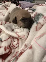 processed/6f4ca5f2-83ba-4d73-b47e-331c3269152d/listing/f84b34eb-98d7-4dd9-b8dc-a9fdd7a7f87e/e98386e7-8360-4180-9c3e-22d1442810d3