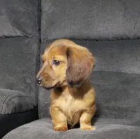 processed/6f50bd1d-0599-4241-84d6-e34937d0a873/listing/eab08fd3-679f-489b-85b6-81197a0a6ead/d822b043-1ade-4f0c-8787-bc7dbdd52314