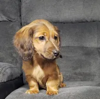 processed/6f50bd1d-0599-4241-84d6-e34937d0a873/listing/eab08fd3-679f-489b-85b6-81197a0a6ead/de75adb1-d54b-478e-a262-c027ac5f3a3a