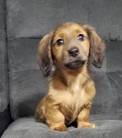 processed/6f50bd1d-0599-4241-84d6-e34937d0a873/listing/eab08fd3-679f-489b-85b6-81197a0a6ead/e8e93340-eb21-437f-bce9-55a15e0f6060