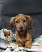 processed/6f50bd1d-0599-4241-84d6-e34937d0a873/listing/eab08fd3-679f-489b-85b6-81197a0a6ead/fb946e09-a24e-4176-98af-9d0745781c72