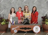 Boy 1 L/V, a male Yorkshire Terrier for sale in New Hampton, IA – Photo 3 of 6