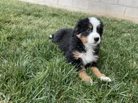 processed/6f51d53d-d7a5-44a0-8a45-8d8b1901e13f/listing/49ffad11-eb68-46da-8182-0cd59791f6a3/52560051-fe04-4ed8-8890-142bfa50a05e