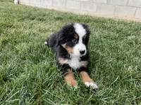 processed/6f51d53d-d7a5-44a0-8a45-8d8b1901e13f/listing/49ffad11-eb68-46da-8182-0cd59791f6a3/6508b539-82c5-485f-9a3b-b0e91099892e