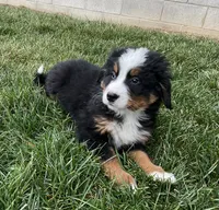 processed/6f51d53d-d7a5-44a0-8a45-8d8b1901e13f/listing/49ffad11-eb68-46da-8182-0cd59791f6a3/ef3da4cf-9275-4aff-8d7a-eb22c8583bc2