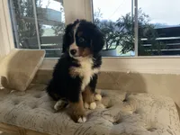 processed/6f51d53d-d7a5-44a0-8a45-8d8b1901e13f/listing/895ff70c-30aa-41d1-8c1e-3506e71877c4/357a1311-8e85-48e5-af46-6073044c6b89