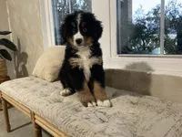 processed/6f51d53d-d7a5-44a0-8a45-8d8b1901e13f/listing/895ff70c-30aa-41d1-8c1e-3506e71877c4/3d778e08-fa19-4f57-986b-b4091b501d4d