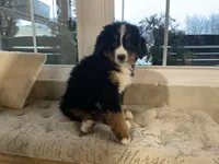 processed/6f51d53d-d7a5-44a0-8a45-8d8b1901e13f/listing/895ff70c-30aa-41d1-8c1e-3506e71877c4/7aa759d0-78ef-466d-af75-92549060903a