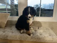 processed/6f51d53d-d7a5-44a0-8a45-8d8b1901e13f/listing/895ff70c-30aa-41d1-8c1e-3506e71877c4/9eb0b14f-e498-4d4a-a59a-e7f114887746