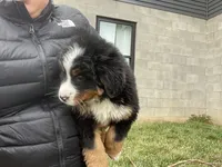 processed/6f51d53d-d7a5-44a0-8a45-8d8b1901e13f/listing/fab730e1-4102-4f92-99fd-e808ac1bcbc0/2a6b064a-c42e-4ea1-bd3a-74f8e476c5ed