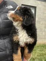 processed/6f51d53d-d7a5-44a0-8a45-8d8b1901e13f/listing/fab730e1-4102-4f92-99fd-e808ac1bcbc0/679a958c-9a19-4c8b-a86a-e82ebc00d842