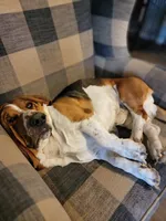 processed/6f5b6d2c-8f40-49aa-a6de-159cb2147650/listing/1196da4d-4428-458e-906d-bfd7896380bf/170c8233-e167-468c-acc0-6050a74c0ba6