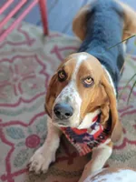 processed/6f5b6d2c-8f40-49aa-a6de-159cb2147650/listing/1196da4d-4428-458e-906d-bfd7896380bf/476b6542-cc61-4e3b-be20-db0ad8cb4830