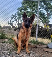 processed/6f5de63b-7247-447f-8cef-652f2598597a/listing/2ad69042-6da3-49e4-a00c-a4fce8d2cd5d/270cf158-a615-4629-9e98-0ac3010d37fc