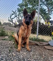 processed/6f5de63b-7247-447f-8cef-652f2598597a/listing/2ad69042-6da3-49e4-a00c-a4fce8d2cd5d/2833cb2f-5311-4a1a-8986-608041d4125e