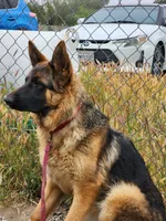 processed/6f5de63b-7247-447f-8cef-652f2598597a/listing/2ad69042-6da3-49e4-a00c-a4fce8d2cd5d/741c9a89-ad9b-4e95-9759-982b98013a1f