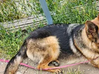 processed/6f5de63b-7247-447f-8cef-652f2598597a/listing/2ad69042-6da3-49e4-a00c-a4fce8d2cd5d/75b8c420-eb20-471c-b9d0-603e8875946a