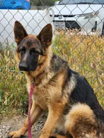 processed/6f5de63b-7247-447f-8cef-652f2598597a/listing/2ad69042-6da3-49e4-a00c-a4fce8d2cd5d/a0307869-7d4d-460d-96e6-4cfddbcc1544