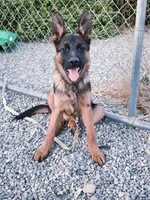 processed/6f5de63b-7247-447f-8cef-652f2598597a/listing/5e2d7744-c5cb-47a3-8115-a52ba1b1f115/08ebbe55-2026-452e-b23f-8628ba17af32