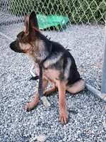 processed/6f5de63b-7247-447f-8cef-652f2598597a/listing/5e2d7744-c5cb-47a3-8115-a52ba1b1f115/c7e1d5c0-0196-4473-a892-698015bd9496