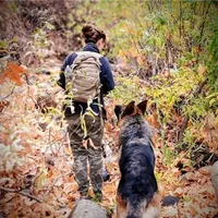 German shepherd, a female German Shepherd Dog for sale in Hemet, CA – Photo 6 of 10