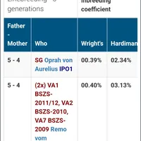 Monzon, a male German Shepherd Dog for sale in Hemet, CA – Photo 5 of 6