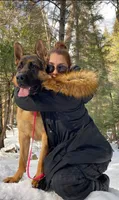 Puppy 200, a male German Shepherd Dog for sale in Hemet, CA – 4 of 8