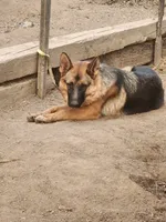 processed/6f5de63b-7247-447f-8cef-652f2598597a/listing/e67445b9-a4be-49ac-b802-b3d7c63e1011/038c7442-1d13-43c8-b3b4-df48065cdc4f