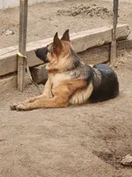 processed/6f5de63b-7247-447f-8cef-652f2598597a/listing/e67445b9-a4be-49ac-b802-b3d7c63e1011/6bfe740b-f55b-4f12-93a0-590b22c7528a