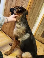 processed/6f5de63b-7247-447f-8cef-652f2598597a/listing/fa9d05c6-8315-41cc-b22e-4fbfec5de972/21395aea-d1aa-4890-a630-1d1fb69eacff