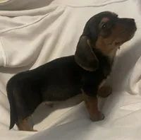 processed/6f5e1c2e-421f-4c5a-86bc-e9dd95e3868e/listing/921b5ee7-6360-44ca-a35e-97973100be71/0cdc5264-e4bb-4424-a7eb-d1306c3ea395