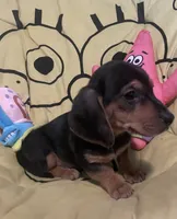 processed/6f5e1c2e-421f-4c5a-86bc-e9dd95e3868e/listing/921b5ee7-6360-44ca-a35e-97973100be71/7a5a8b91-393a-42e2-bc2a-399f37b35575