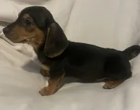 processed/6f5e1c2e-421f-4c5a-86bc-e9dd95e3868e/listing/921b5ee7-6360-44ca-a35e-97973100be71/a2d947de-dffb-4820-9fa8-08456b586b42