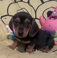 processed/6f5e1c2e-421f-4c5a-86bc-e9dd95e3868e/listing/921b5ee7-6360-44ca-a35e-97973100be71/ad48bf69-54ae-4ac7-bdc8-d77d40461b9b