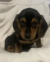 processed/6f5e1c2e-421f-4c5a-86bc-e9dd95e3868e/listing/921b5ee7-6360-44ca-a35e-97973100be71/b31c8735-64e7-4727-bbc2-696c87353ff1