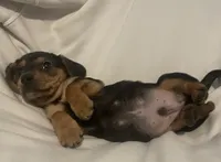 processed/6f5e1c2e-421f-4c5a-86bc-e9dd95e3868e/listing/921b5ee7-6360-44ca-a35e-97973100be71/c277206d-ce10-4035-939d-b8a9e4ab2570