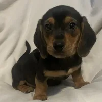 processed/6f5e1c2e-421f-4c5a-86bc-e9dd95e3868e/listing/921b5ee7-6360-44ca-a35e-97973100be71/d4c711a1-250d-499d-af9d-301c717e61c2