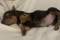 processed/6f5e1c2e-421f-4c5a-86bc-e9dd95e3868e/listing/921b5ee7-6360-44ca-a35e-97973100be71/fb06f135-255e-43e3-a8ec-34599eb457f9